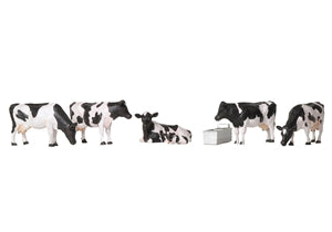 Cows