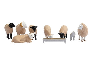 Sheep