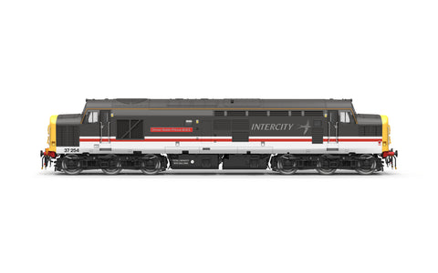 BR Intercity Class 37 Driver Robin Prince MBE 37254
