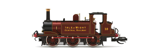 Isle of Wight Terrier 10