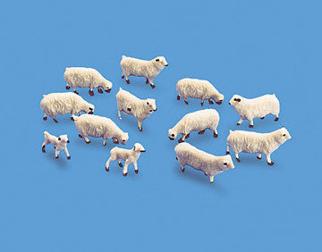Sheep & Lambs - 00