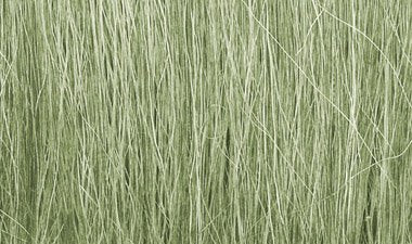 Field Grass - Light Green