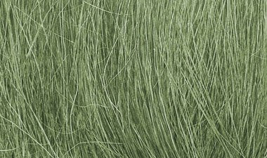 Field Grass - Medium Green